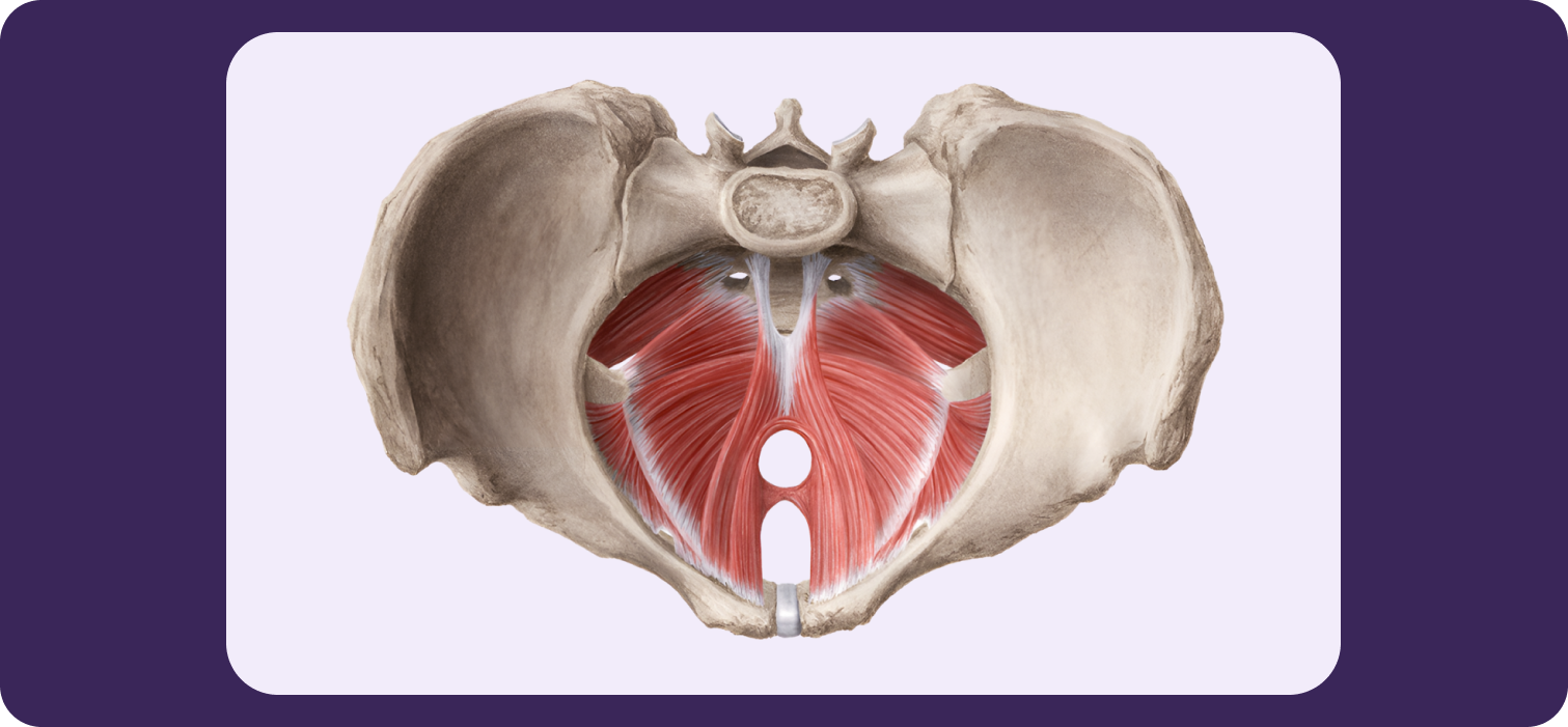 Воздух из влагалища. Все ли со мной в порядке?
