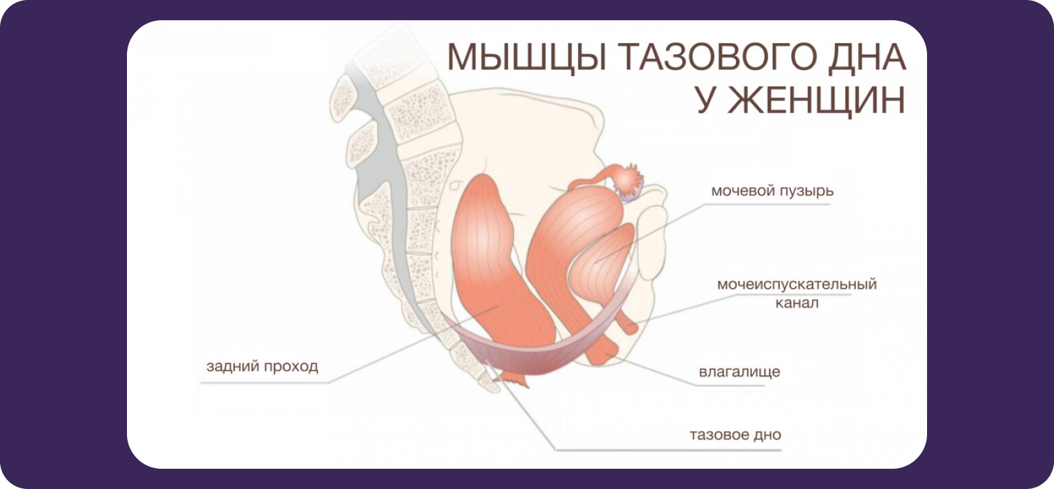 Воздух из влагалища. Все ли со мной в порядке?